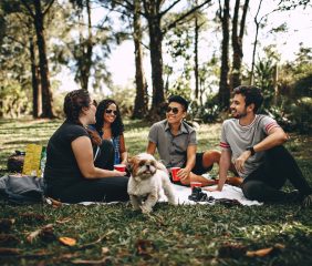 Vacation with family, friends and pets in the city park